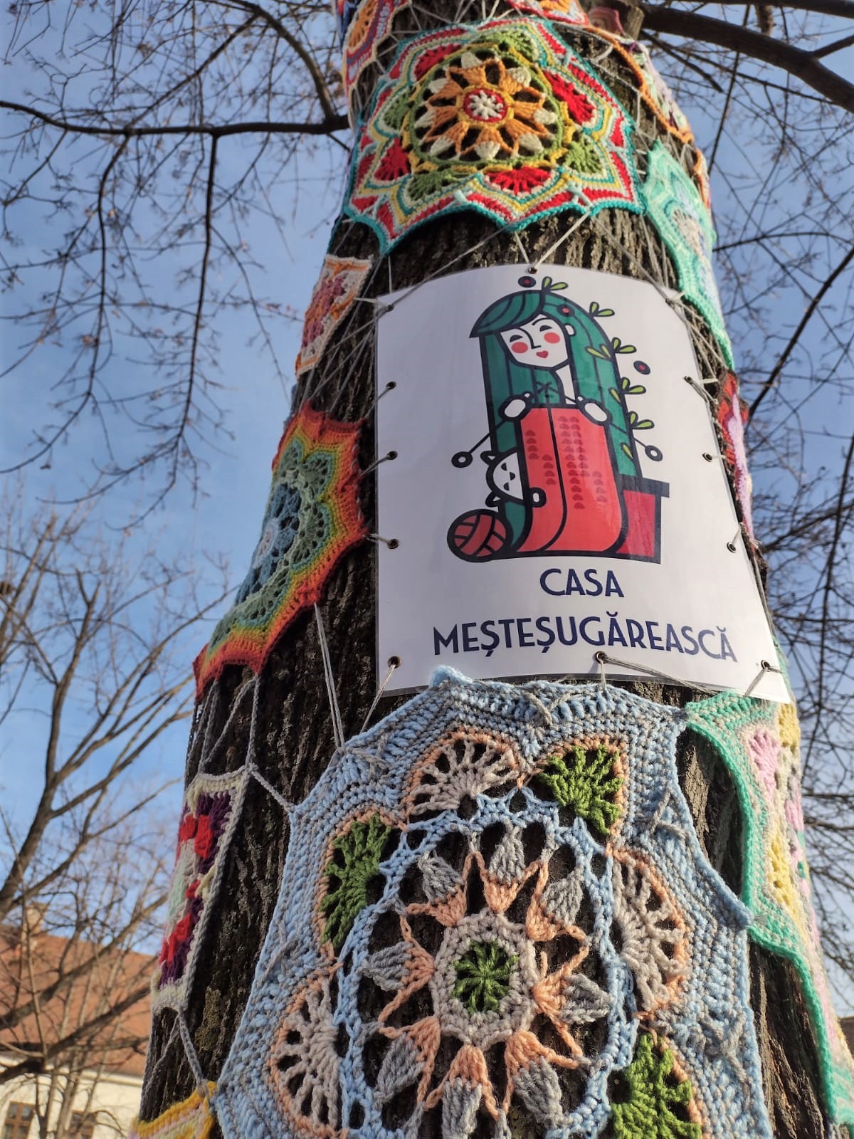 copac crosetat oradea (47)