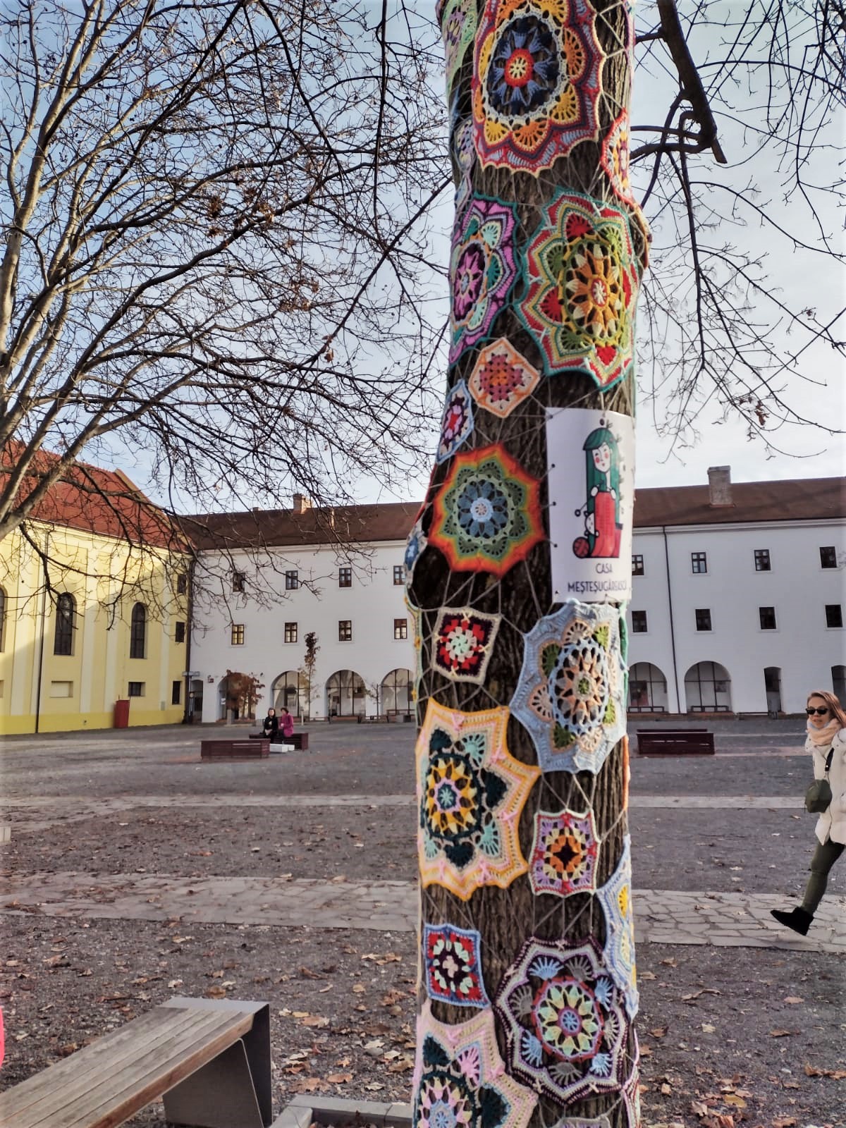 copac crosetat oradea (48)