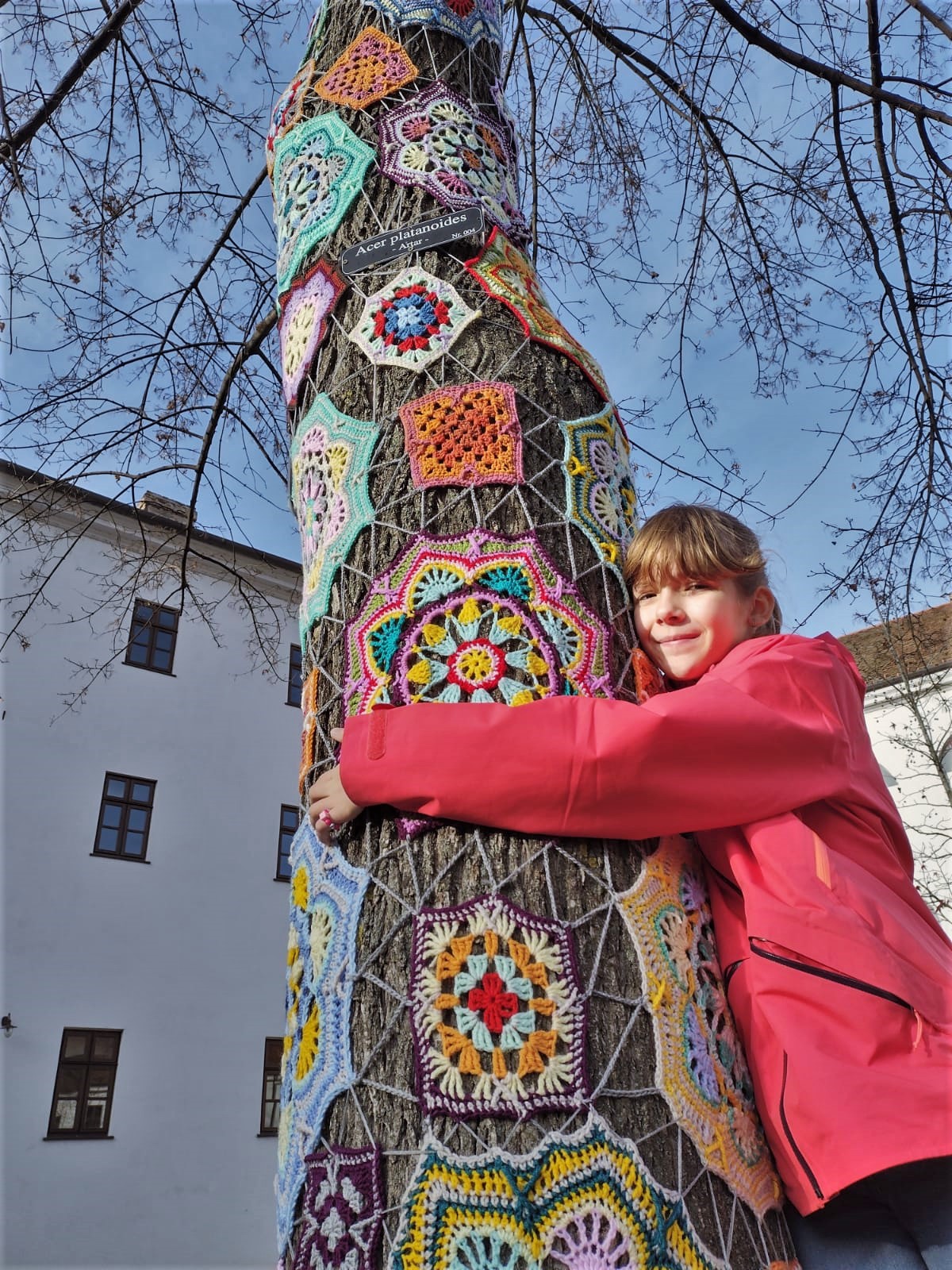 copac crosetat oradea (50)