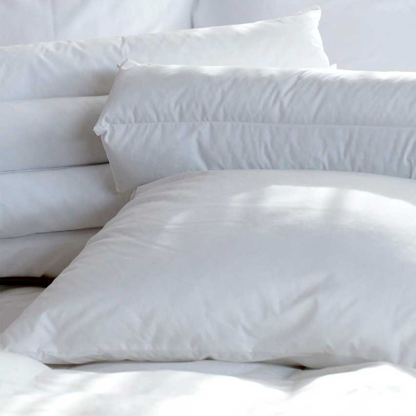 Mr-Jeff_Products_Home_Pillow-case