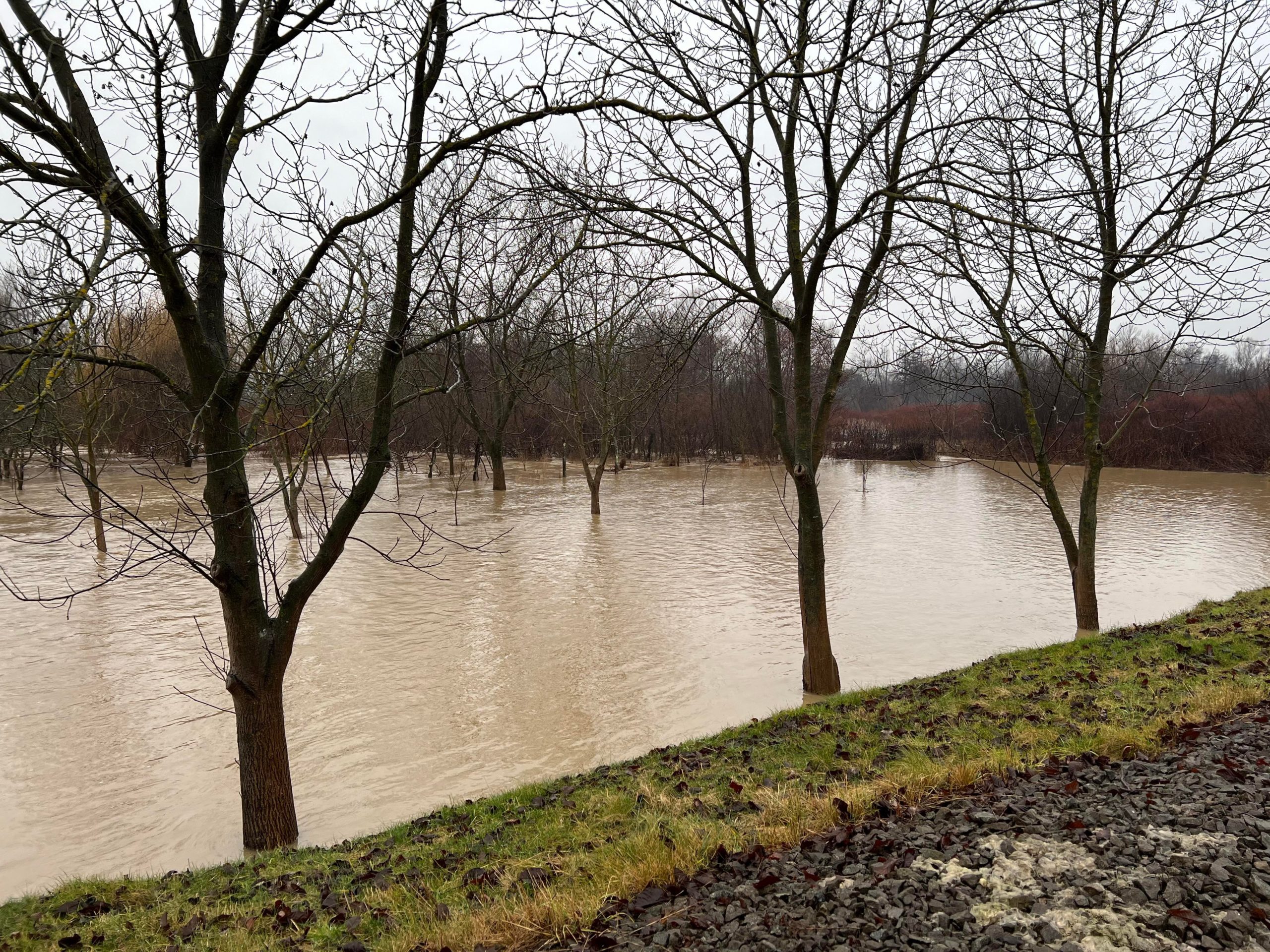 264495759_283195773847177_5805486006721764746_n