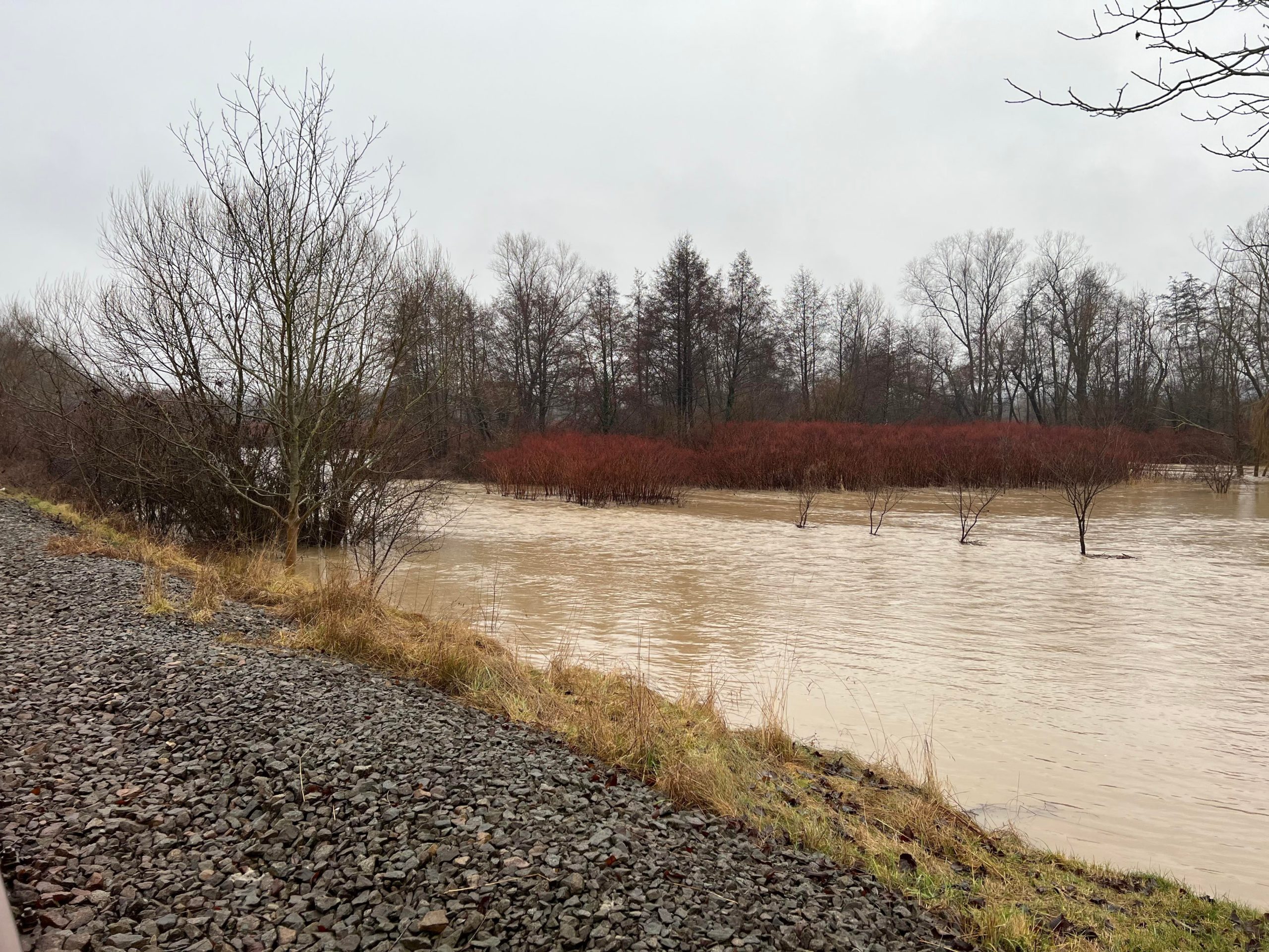 265676372_350391119752080_2378551131360564731_n