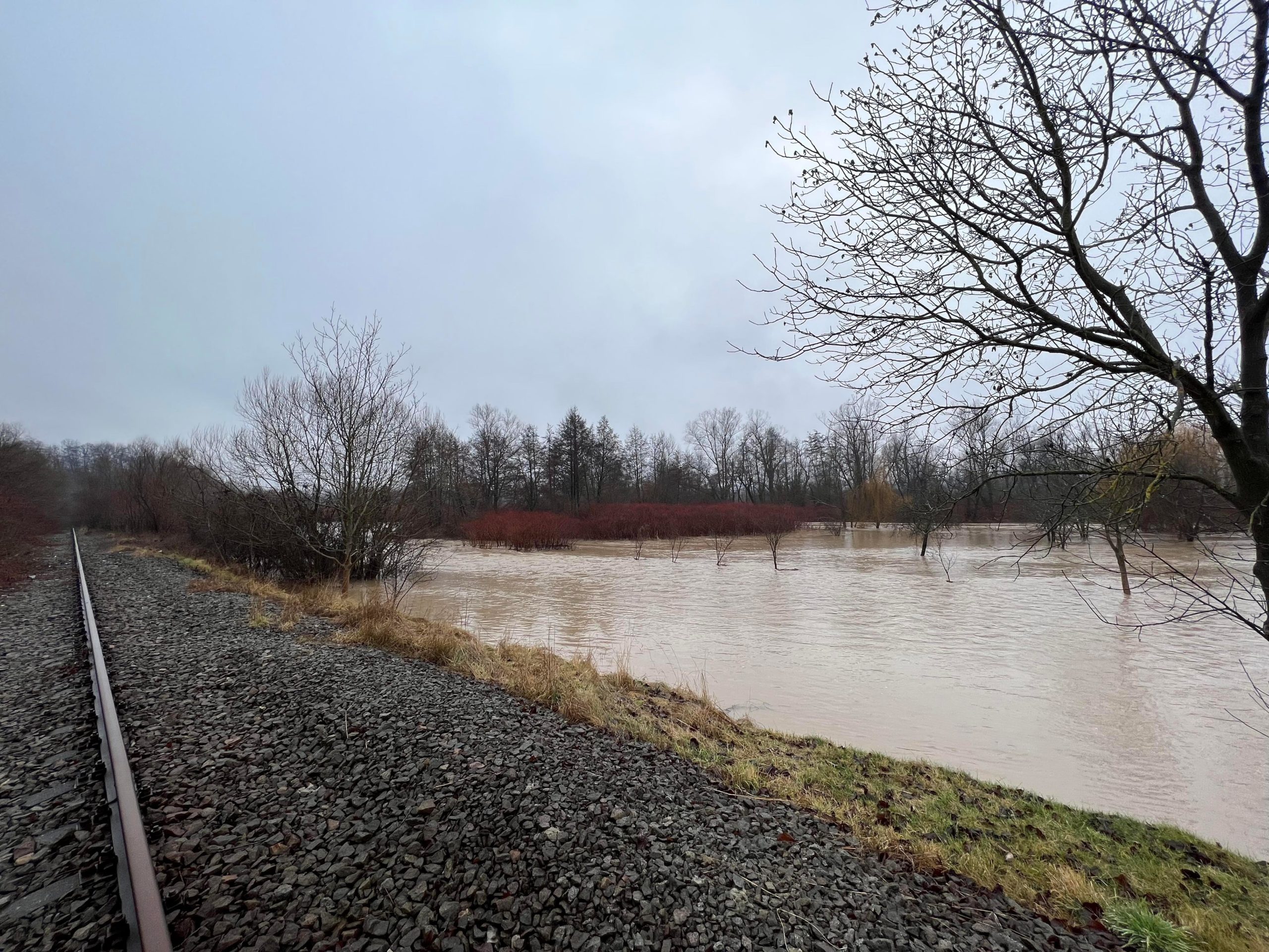 267150825_713393800048741_1850051388218777303_n