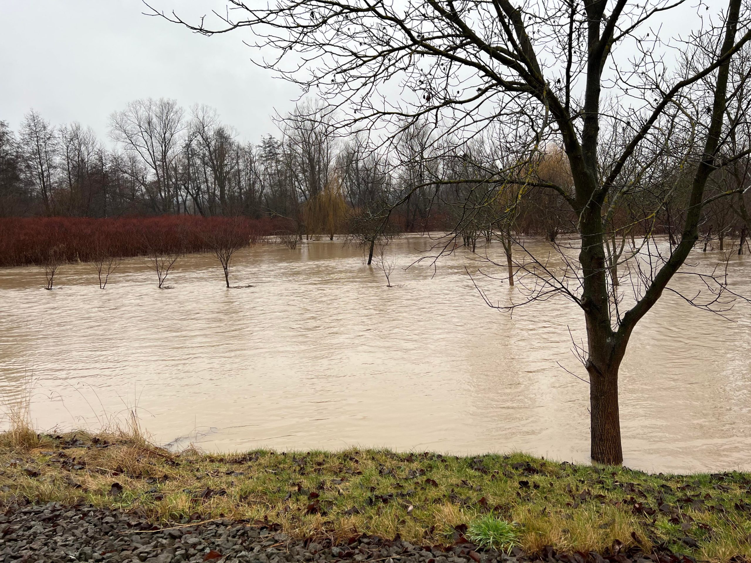 268529892_226930406260109_9204622052944946077_n