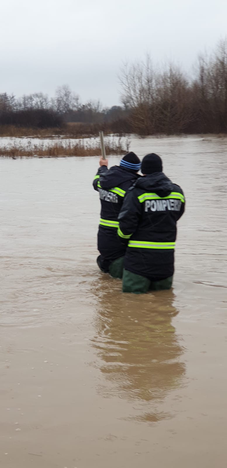 dbd03af0-142a-4e83-b5e8-55b1eef4710a