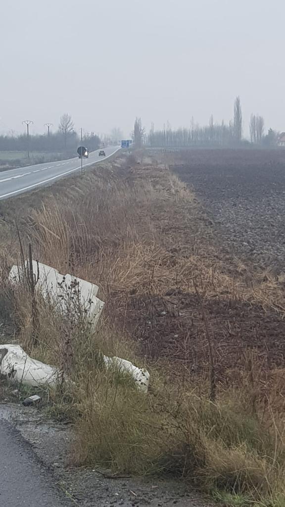 263843224_641071330374782_812563995854054242_n