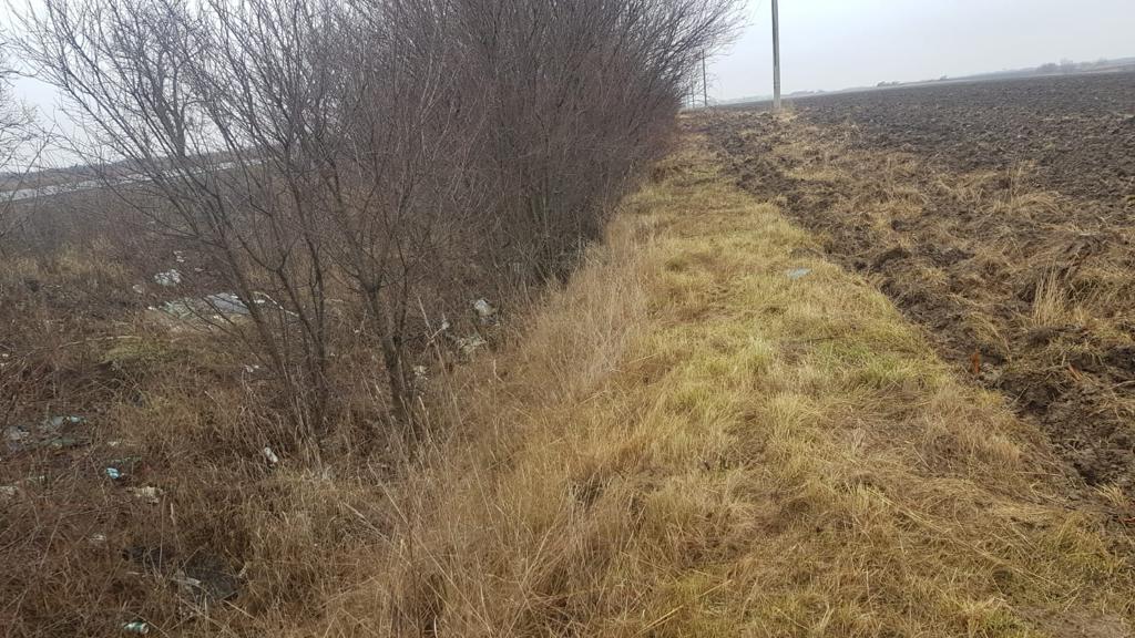 264022284_428349105412931_1910160631339086727_n