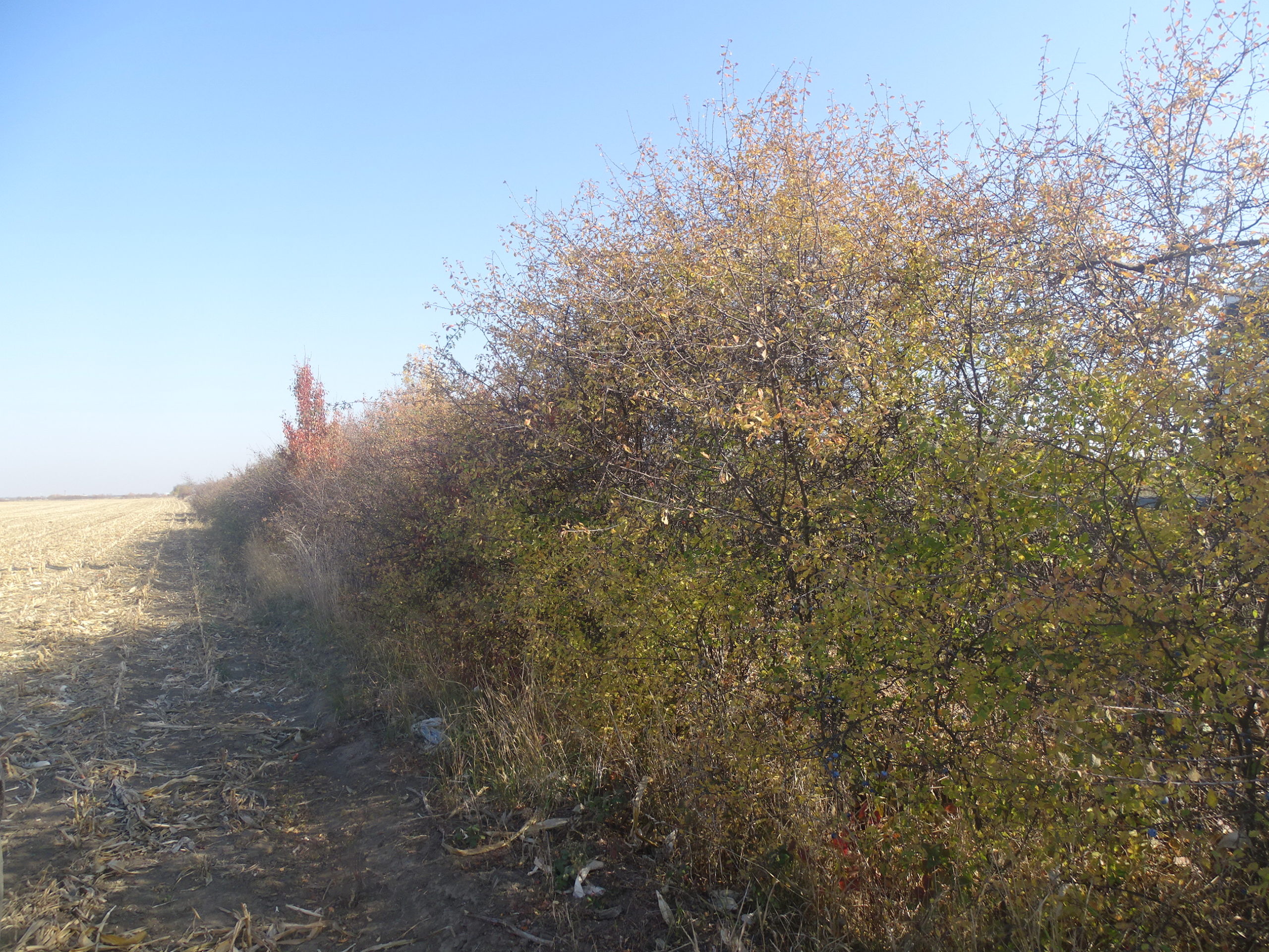 264044596_637480054335296_5055854526462310036_n