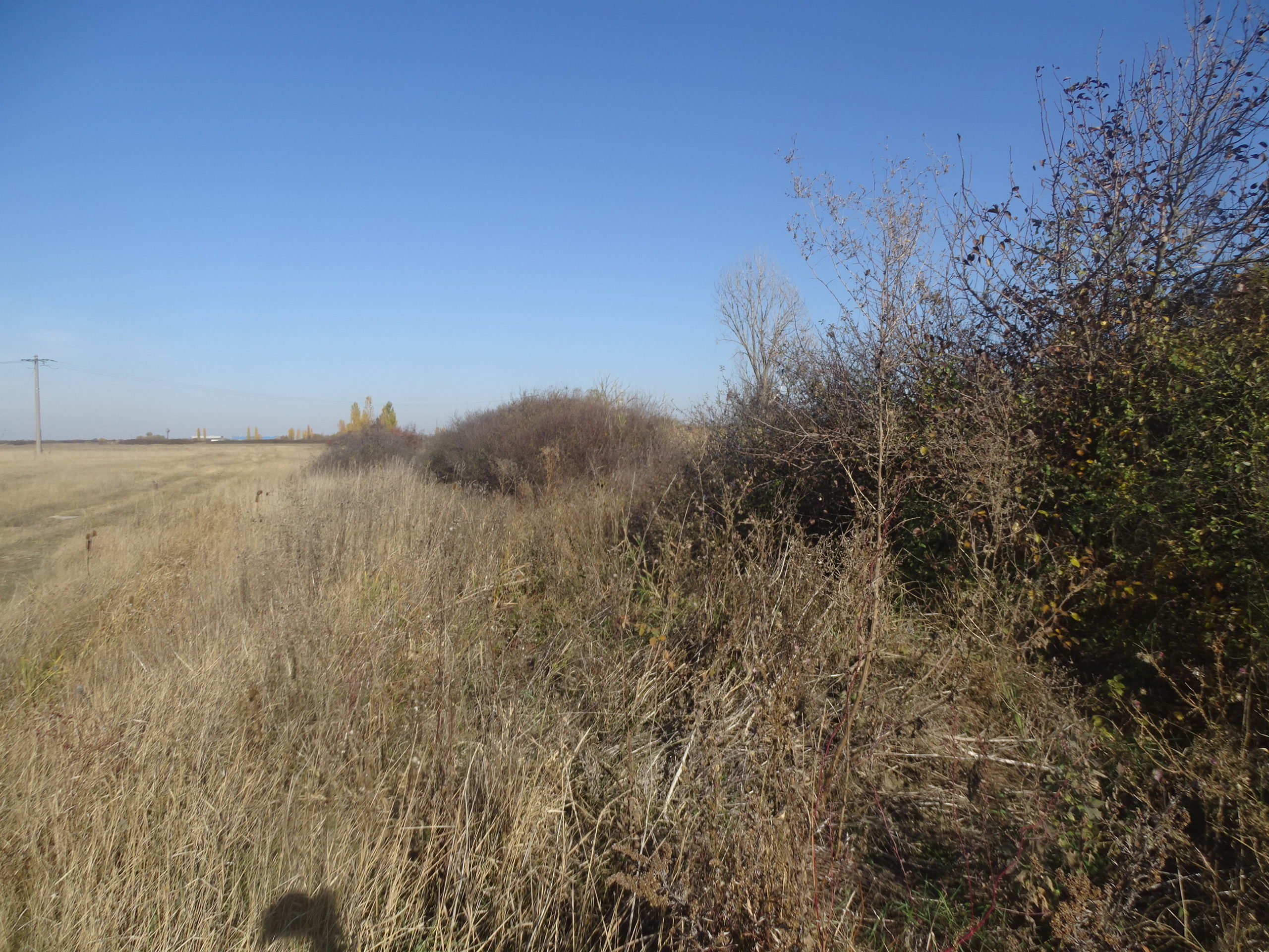 264105847_1013653032868885_5854081349860316537_n