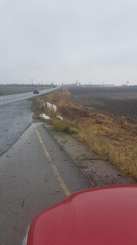 264188771_1111917549638294_2171233918468683088_n