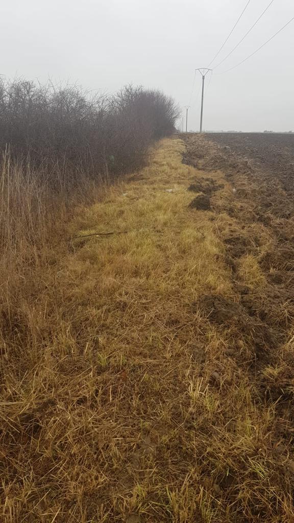 264279470_1076895089770528_4871385682907016438_n