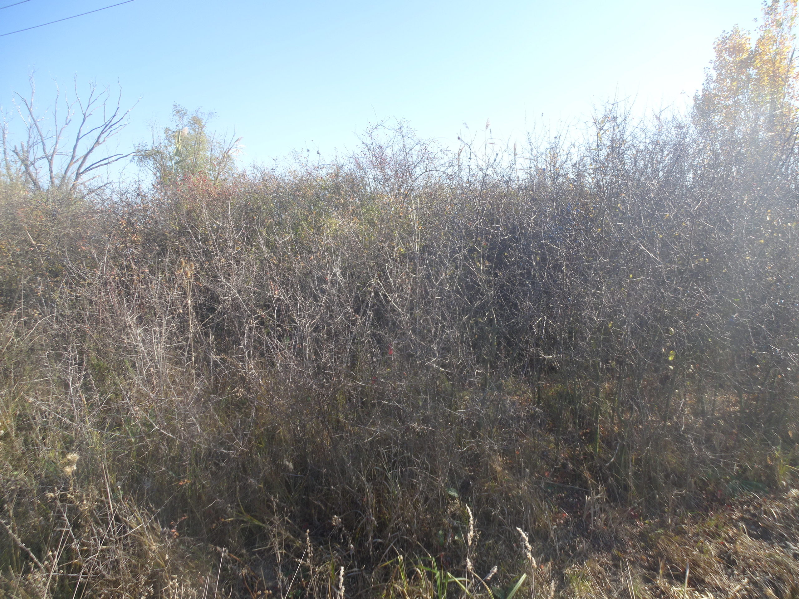 264348624_351922086696918_1544773357626356453_n