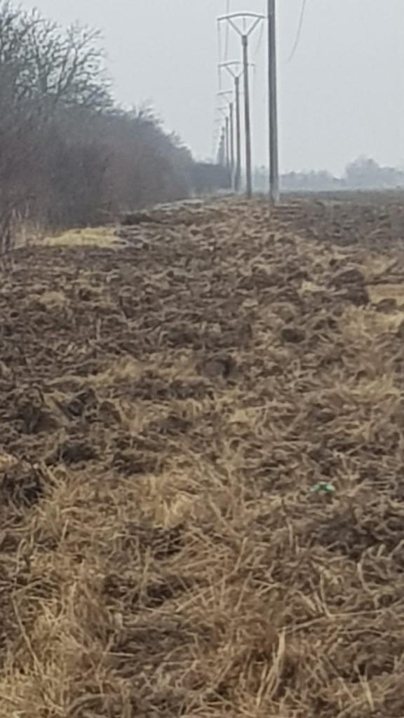 264348632_437082157896266_2459880336362888776_n