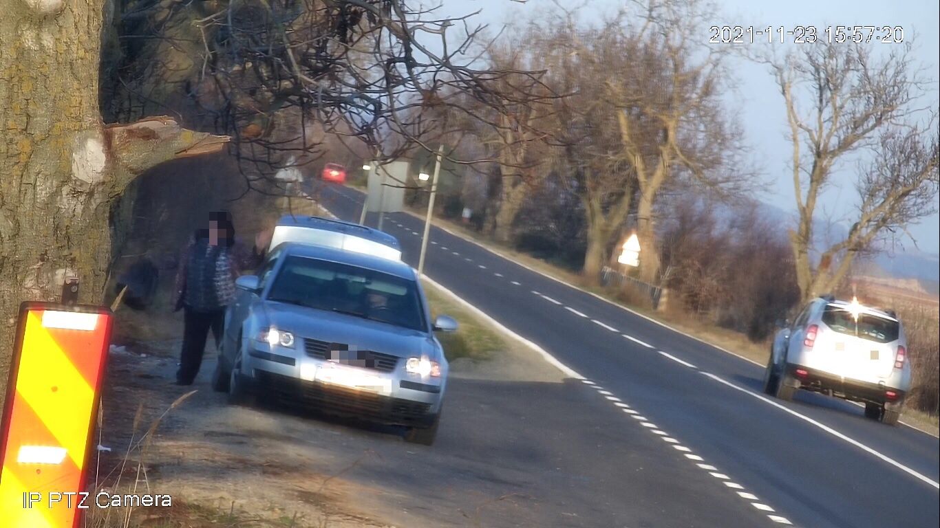 264412291_447532940147326_6186955219722442393_n