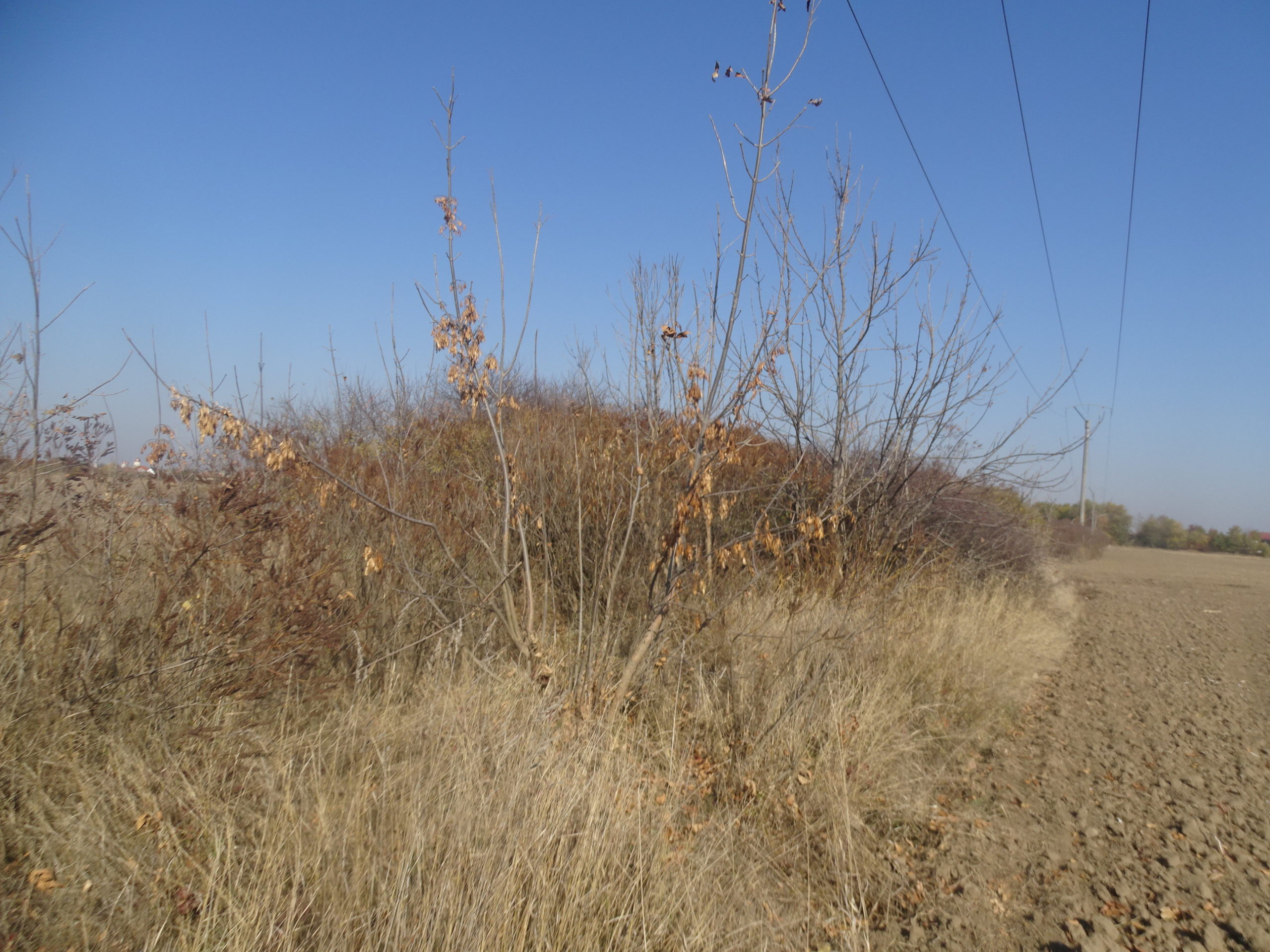 264629762_264463712333082_5356751077428341658_n