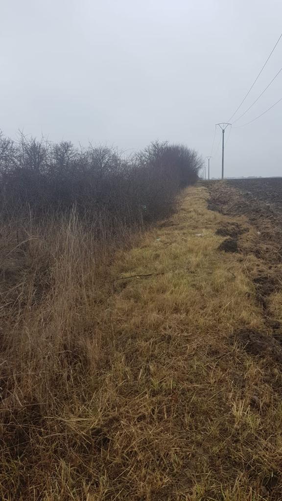 264794501_463050021883399_8048307429578668633_n