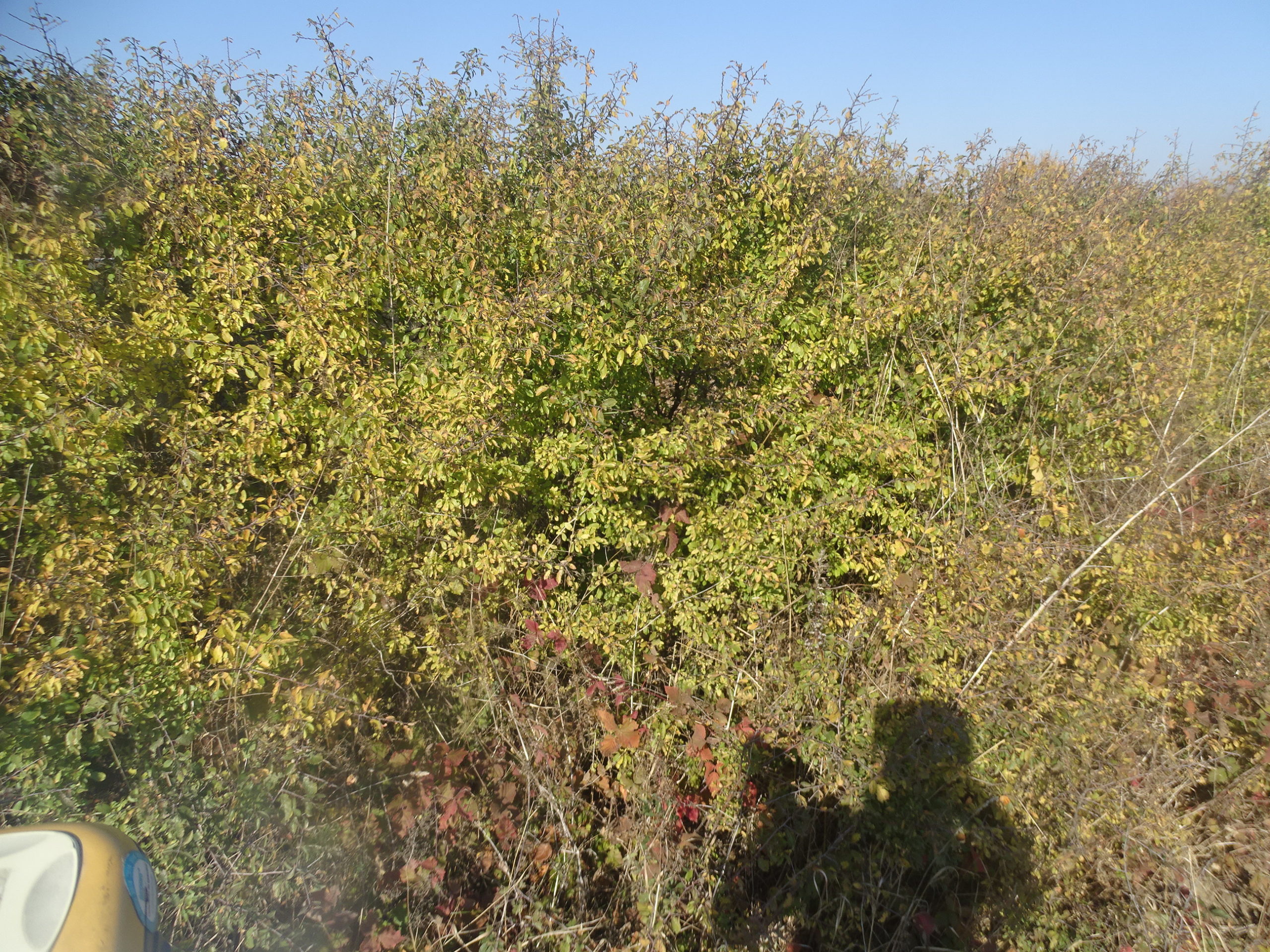 265169462_1249918188826374_8048255953758418369_n