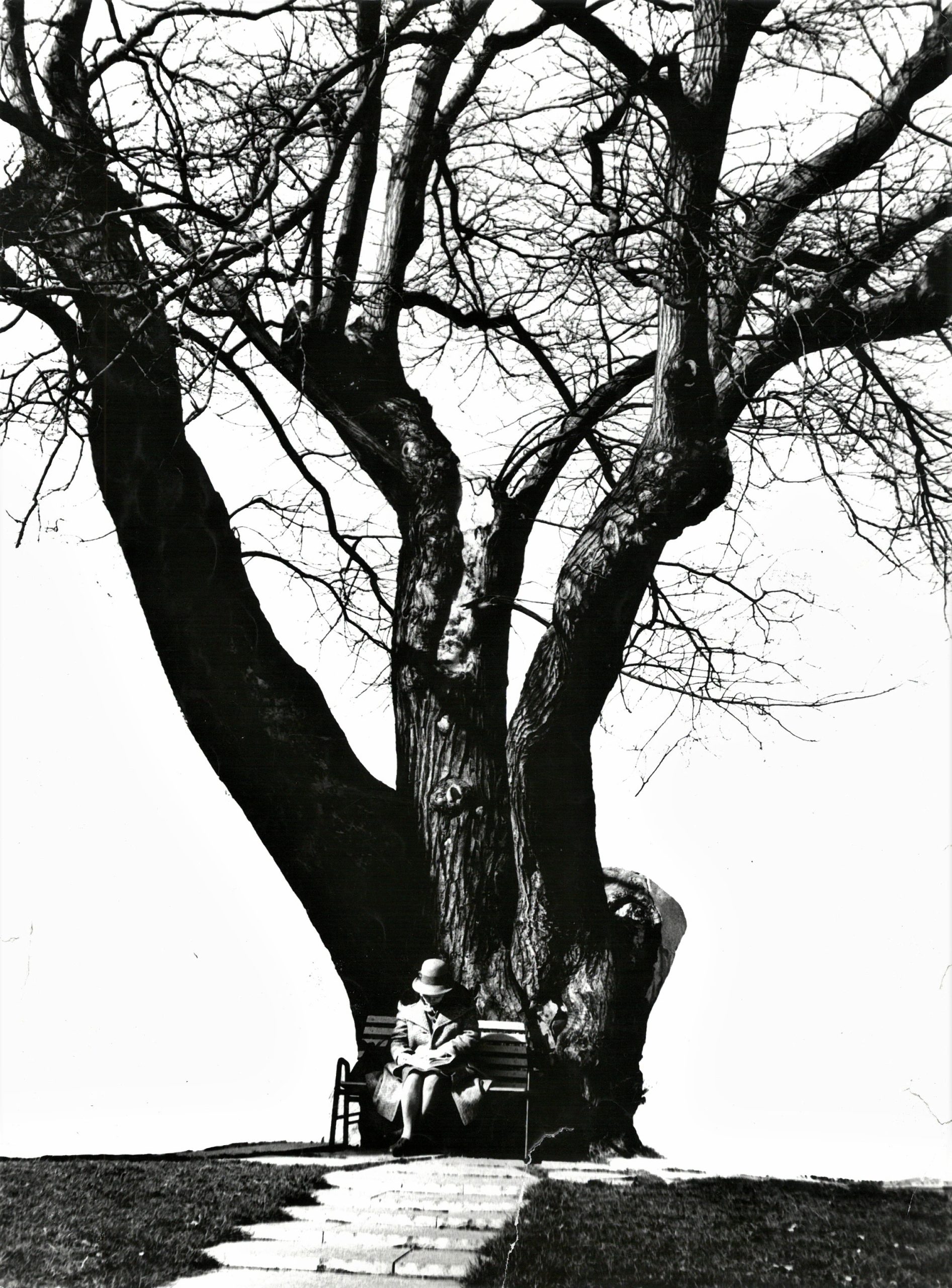 01- Ștefan Tóth István AFIAP -Amintiri (Budapesta - 1968)