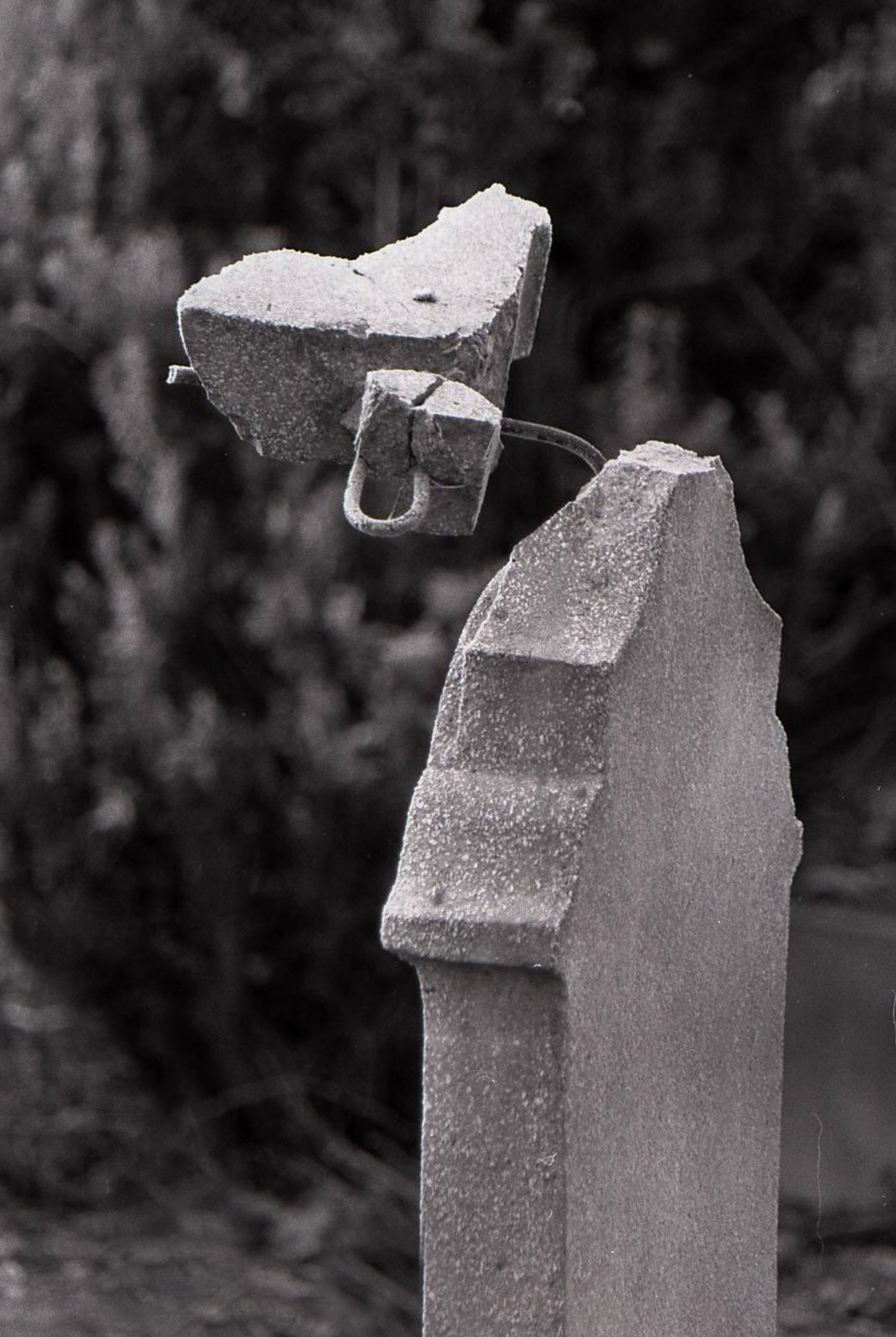 05- Ștefan TÓTH István AFIAP - Moartea unui Cimitir (2009) 01