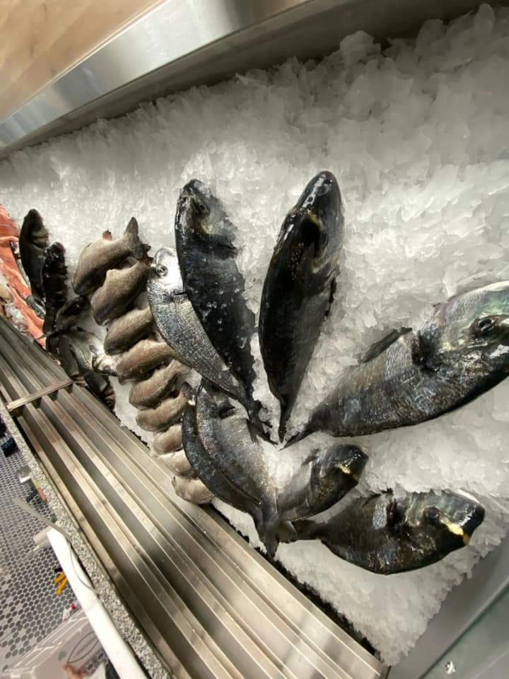 Sea Fresh Store Oradea (3)