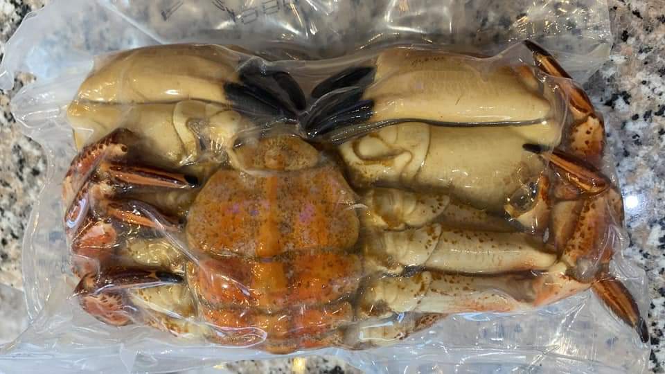 Sea Fresh Store Oradea (5)