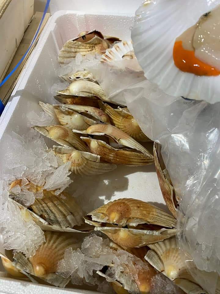 Sea Fresh Store Oradea (6)