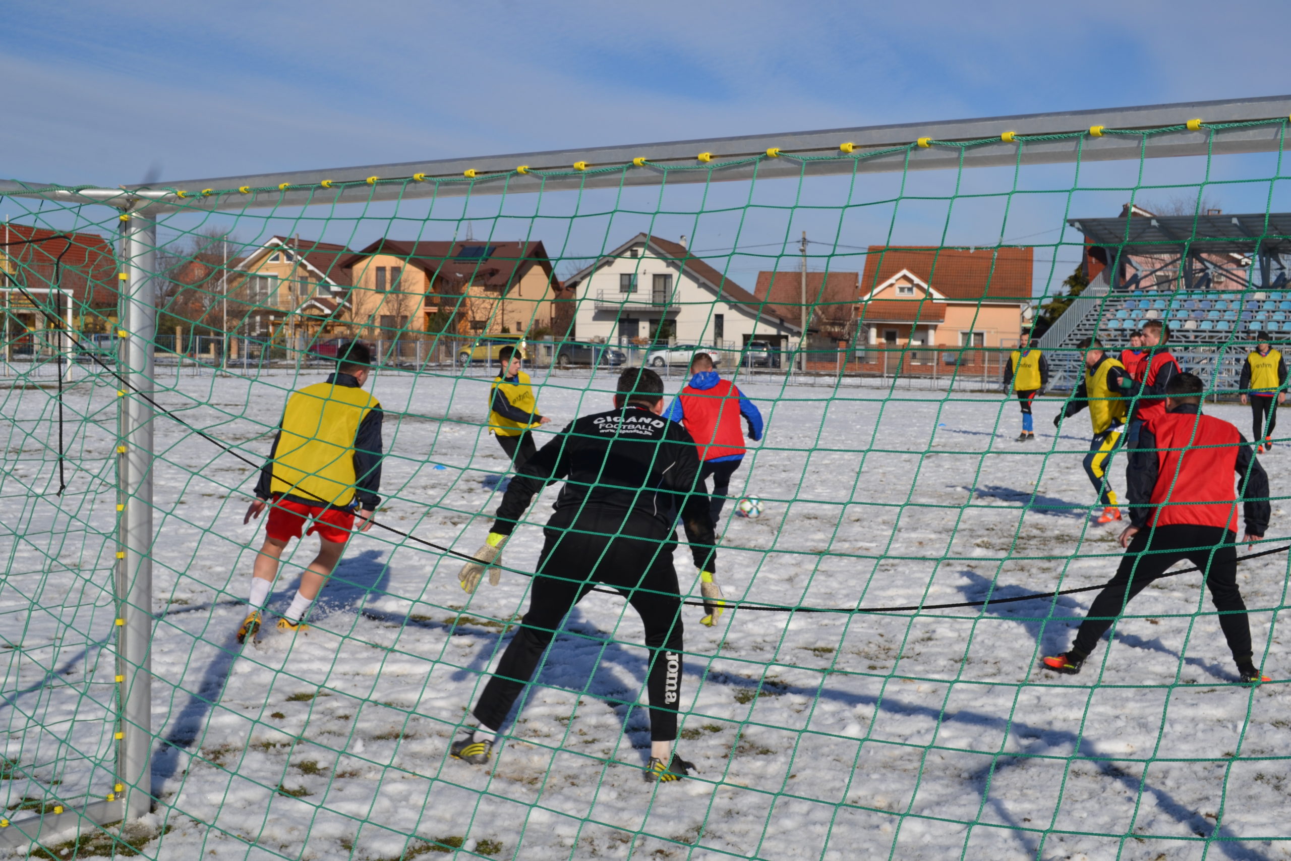 crisul santandrei (80)