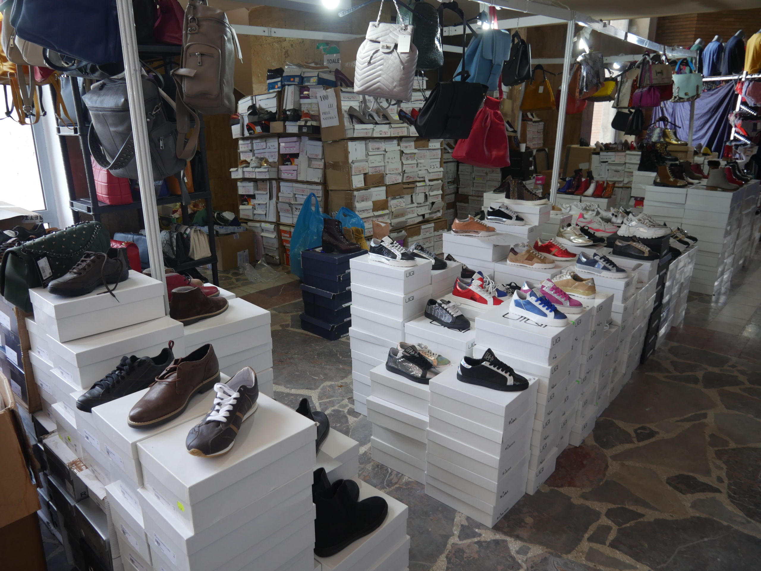 Cavi Expo Fashion (3)