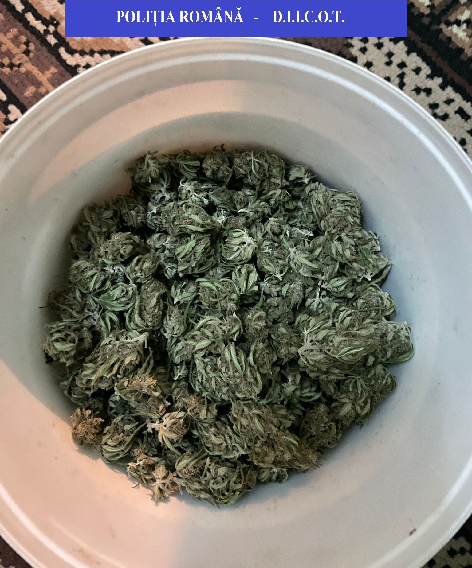 PHOTO-2022-02-04-11-25-02