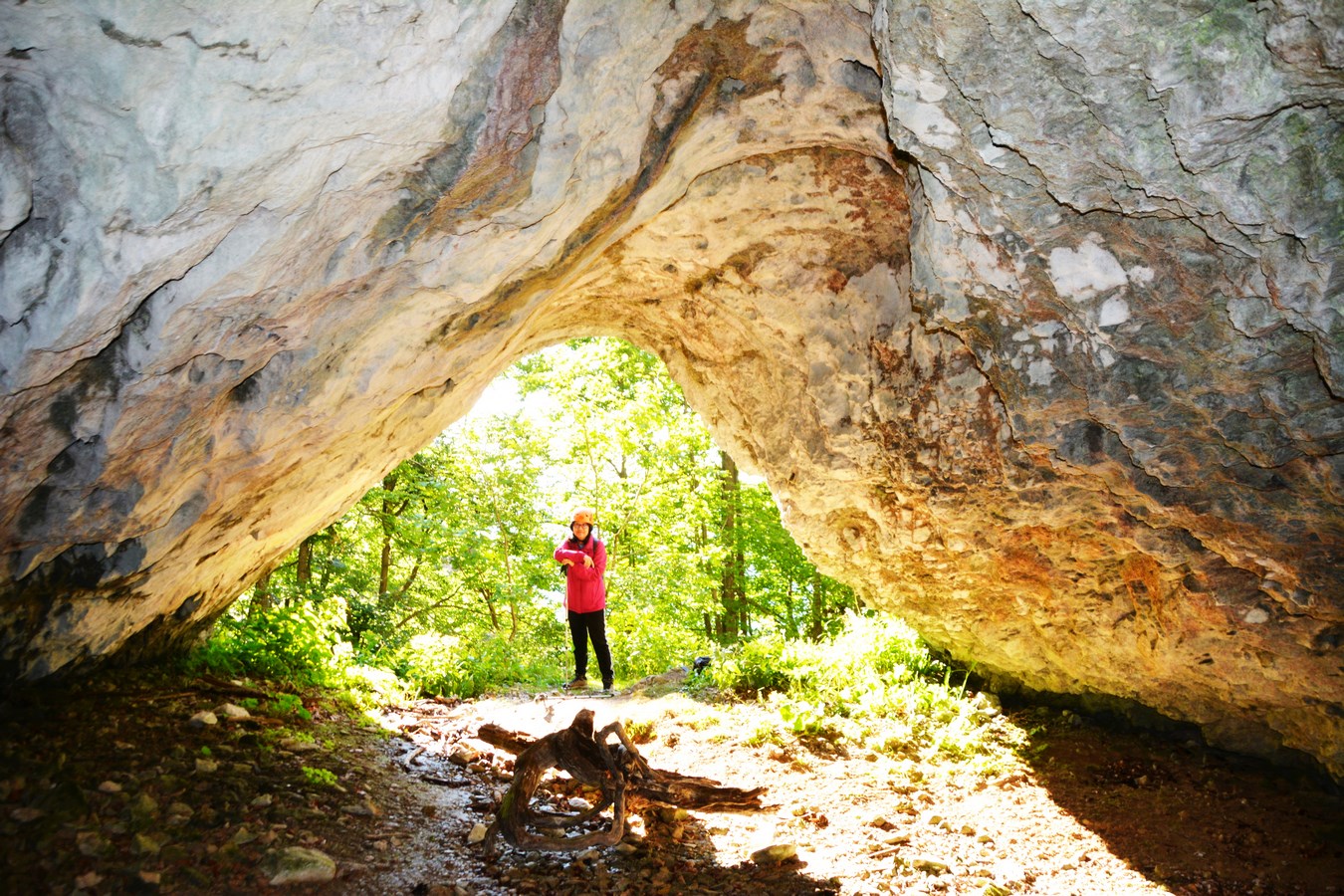Peștera Șura Boghii, Munții Bihor, fotografie de Liviu Vălenaș, 2021_
