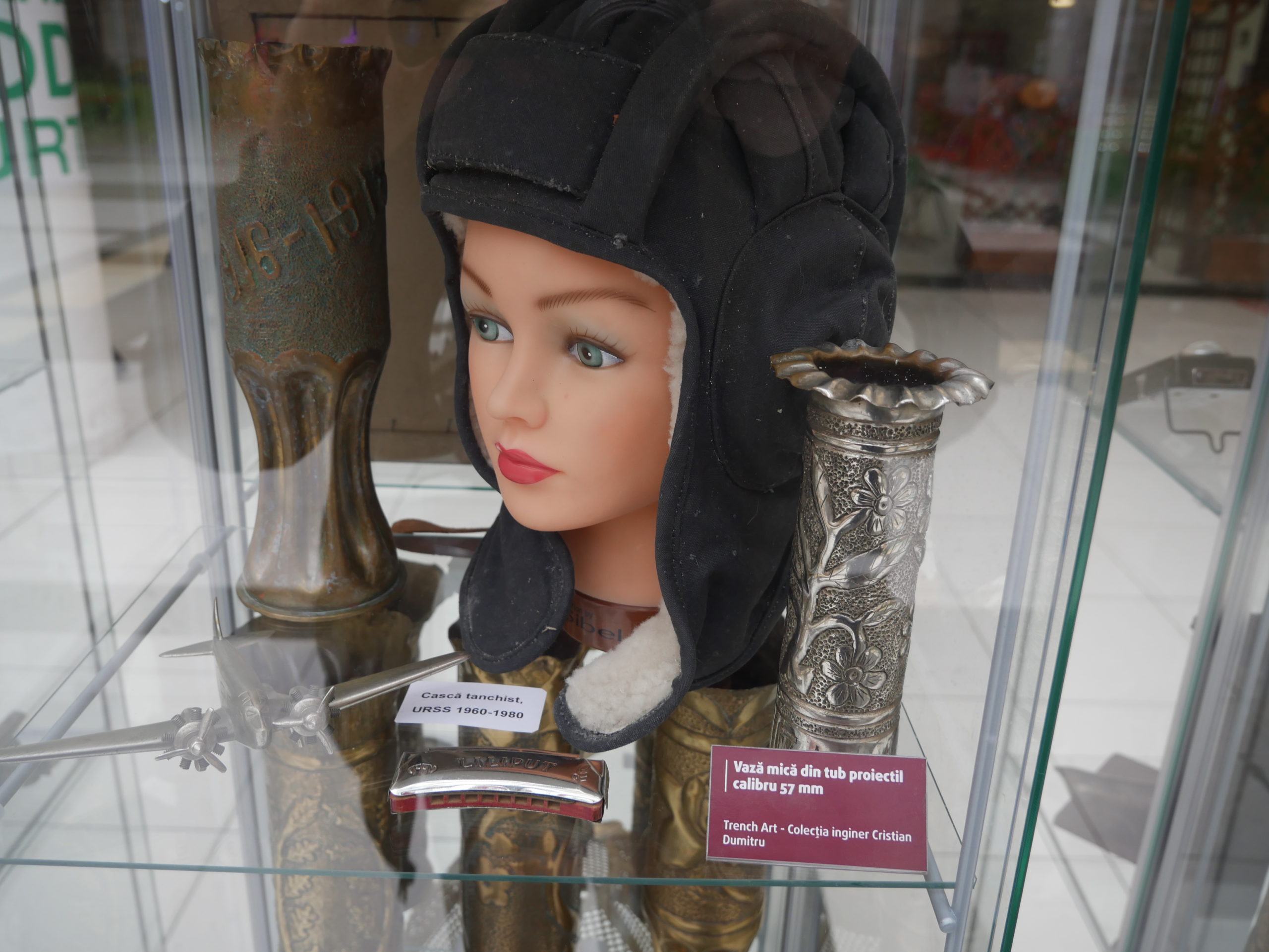 Arta Transeelor (14)