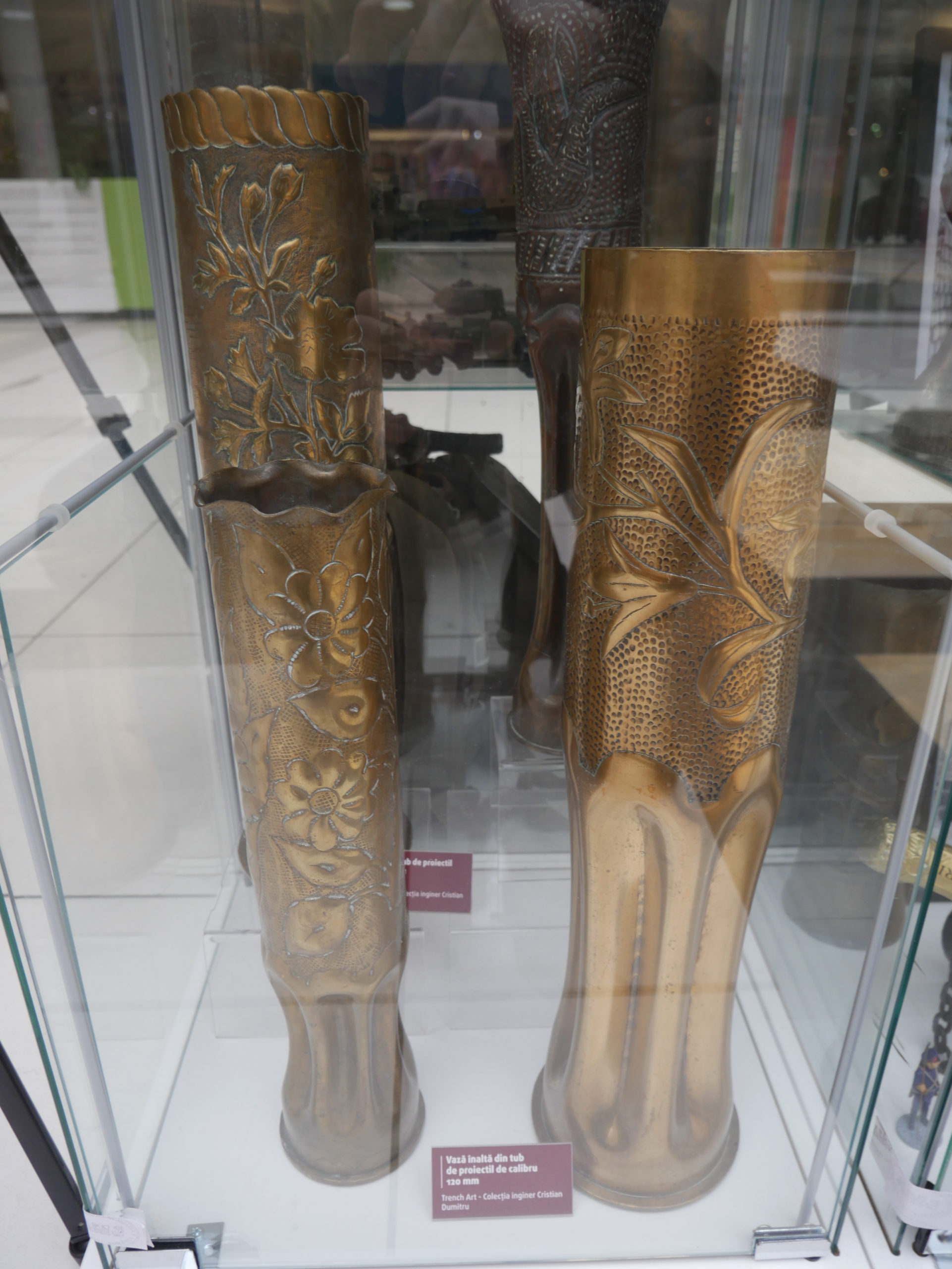 Arta Transeelor (32)