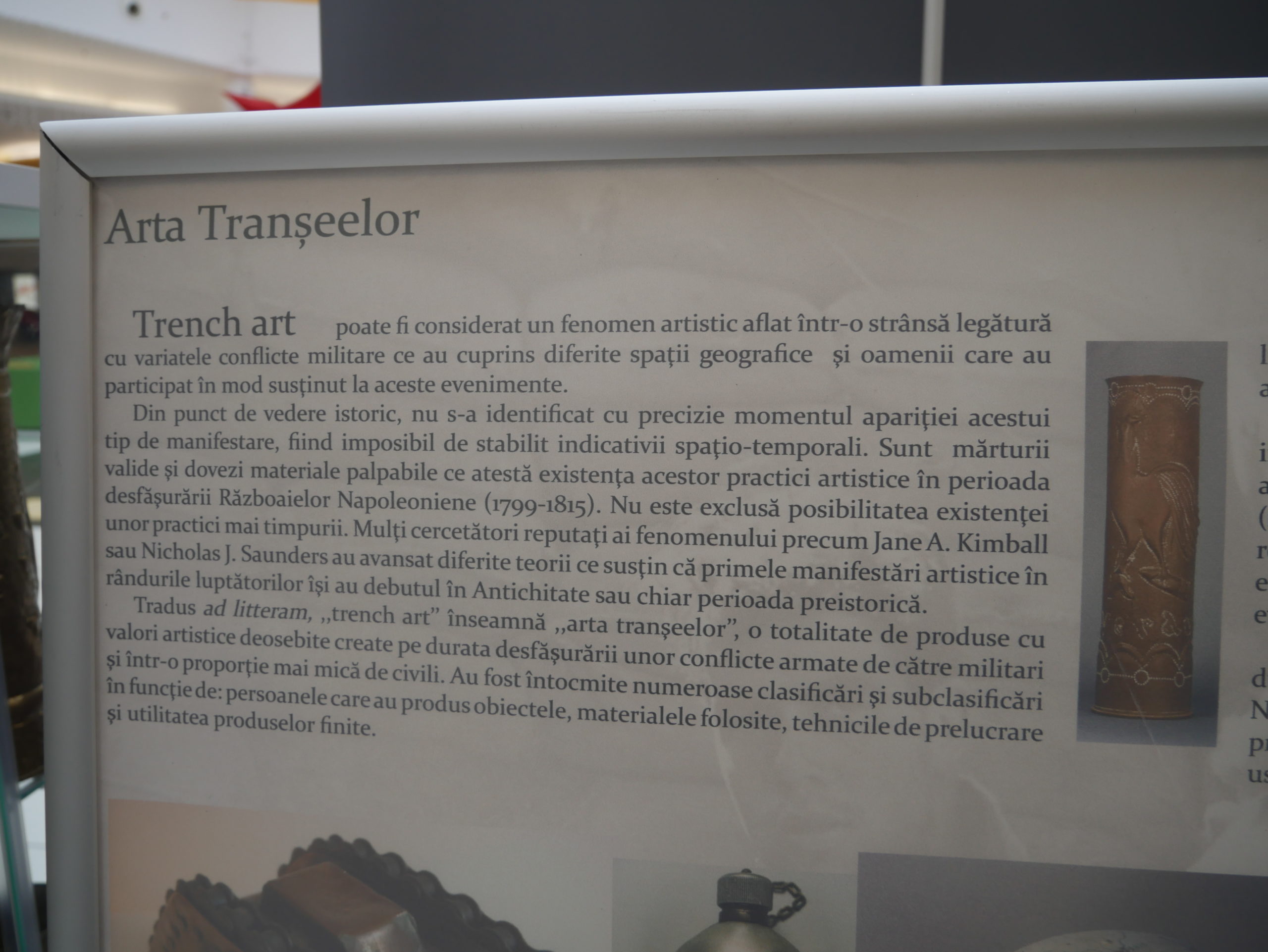 Arta Transeelor (55)