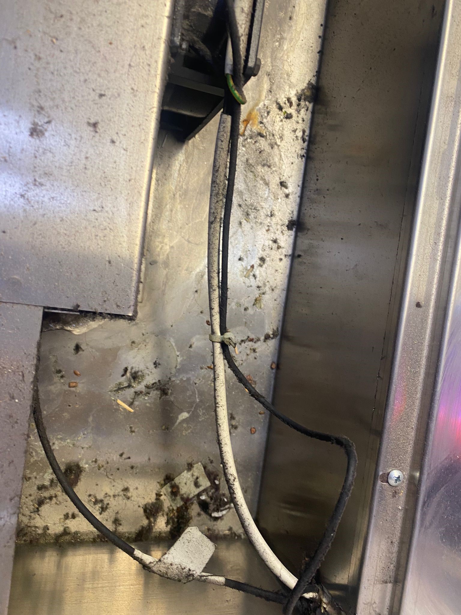 274011341_487478386258995_3017875203615310065_n