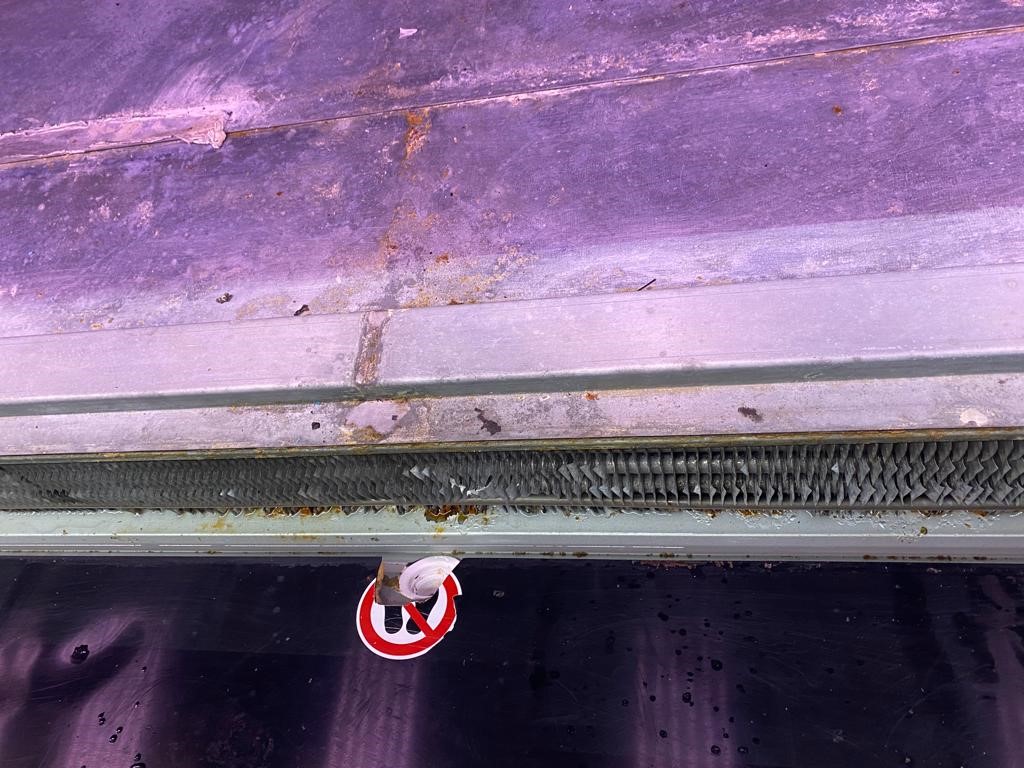 274360148_1047907942425562_414002235780007838_n