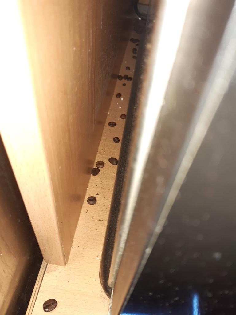 274335704_727162408271890_8474322428245058018_n