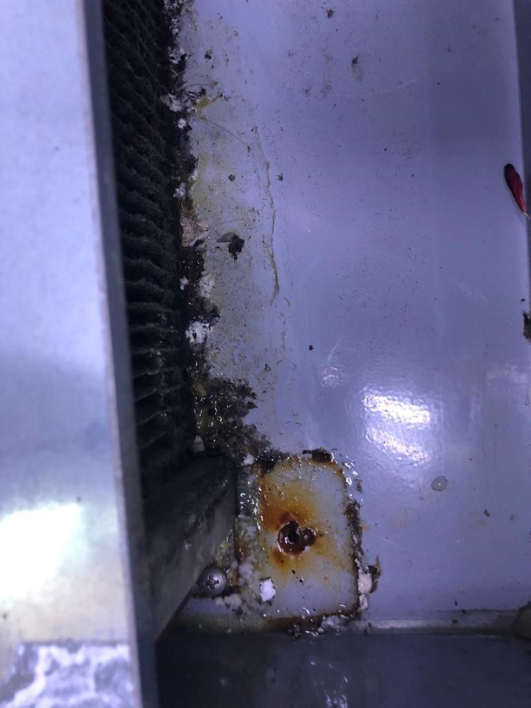 274356759_323301149770330_1791906426666003123_n