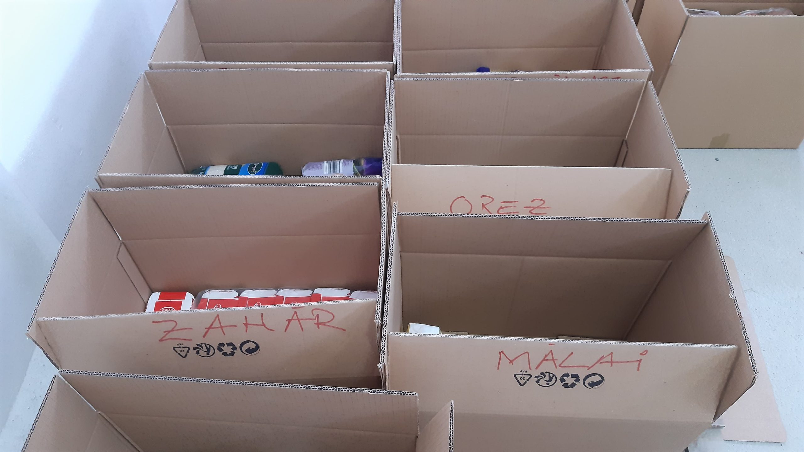 275494119_676124000474203_4736425389918207240_n