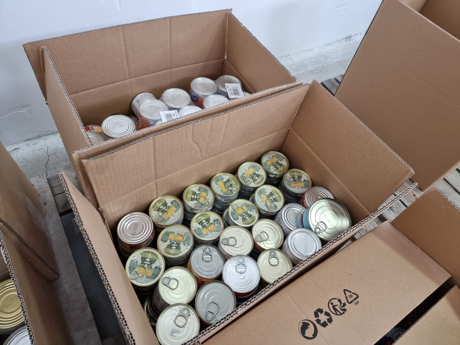 275532351_3172126816343403_841790648826943548_n