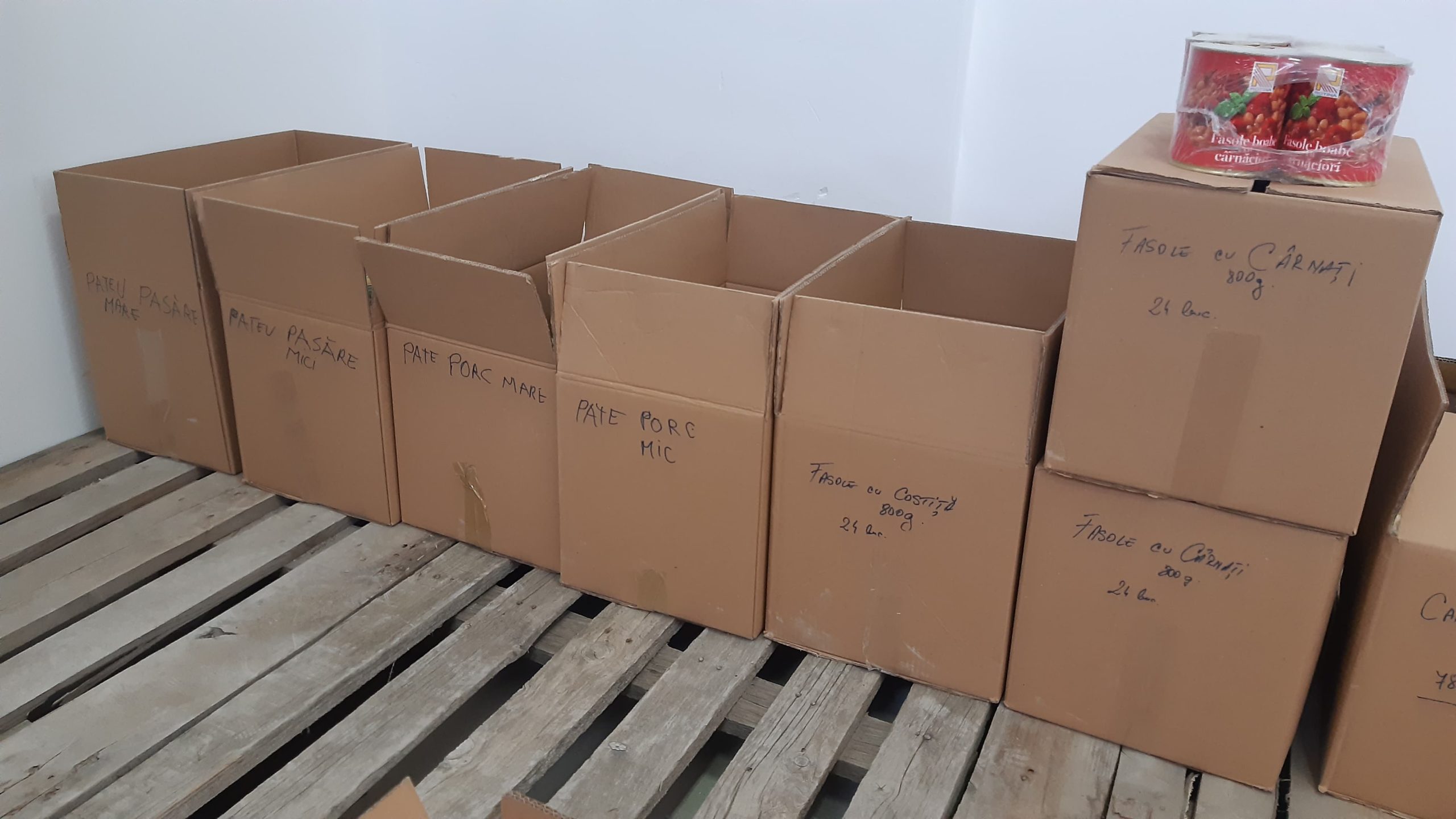 275542999_356435926365001_4514656866196163083_n