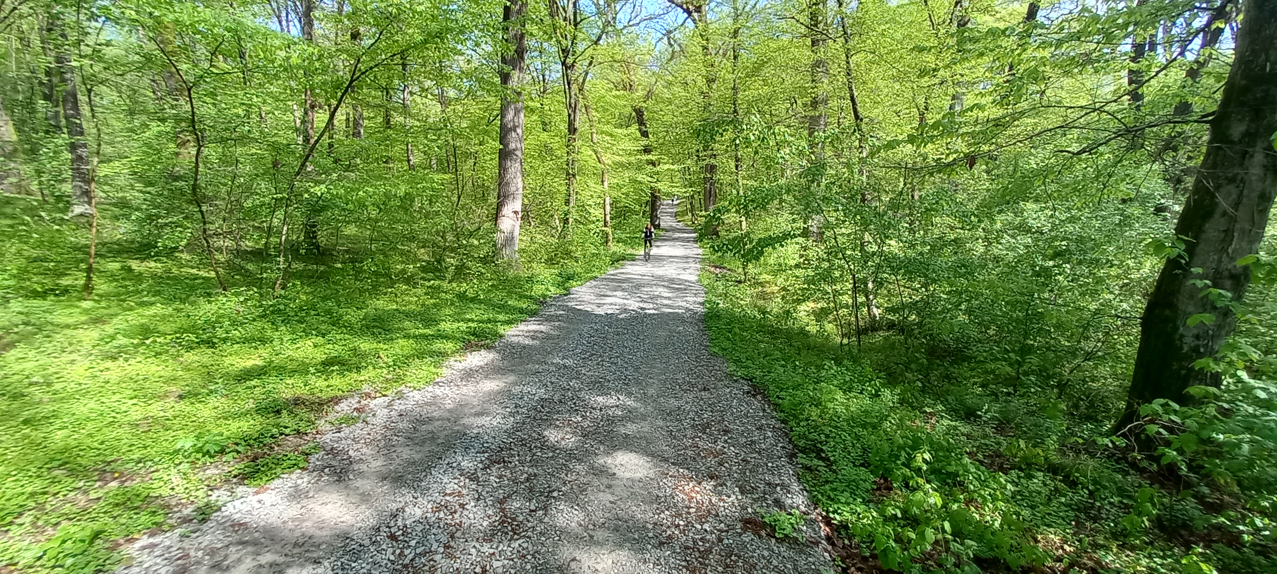 traseu educativ baile felix (9)