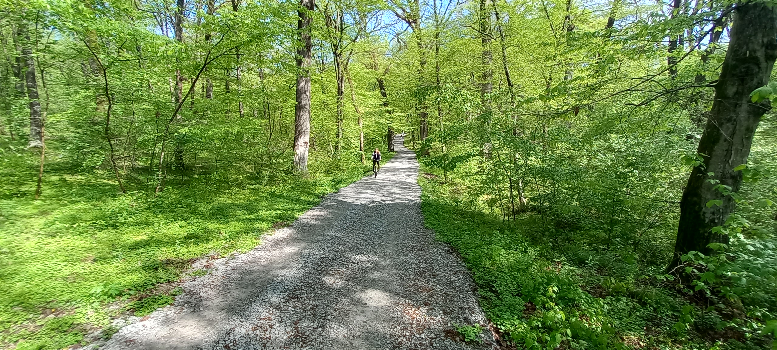 traseu educativ baile felix (10)