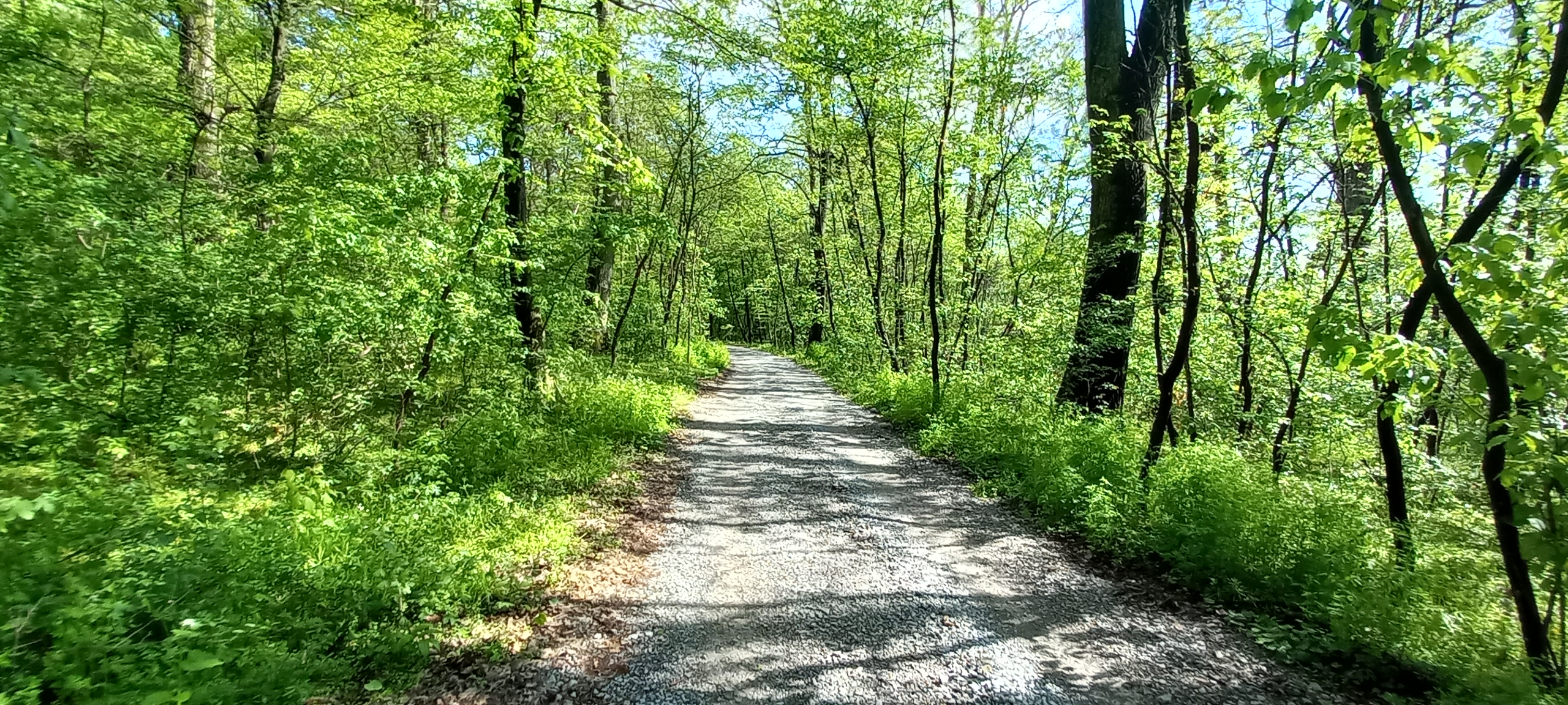 traseu educativ baile felix (11)