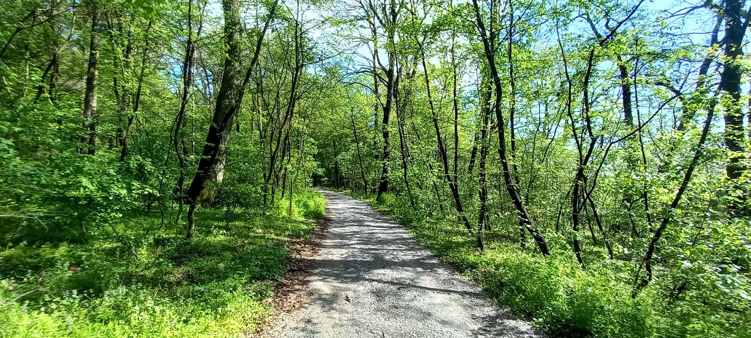 traseu educativ baile felix (12)