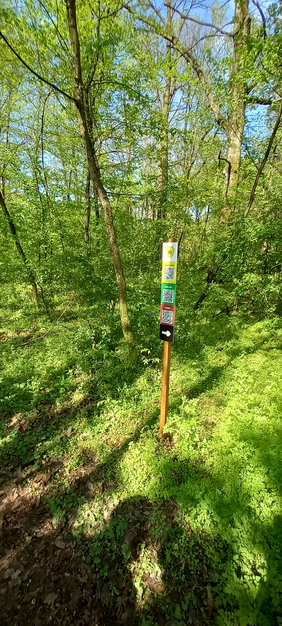 traseu educativ baile felix (14)