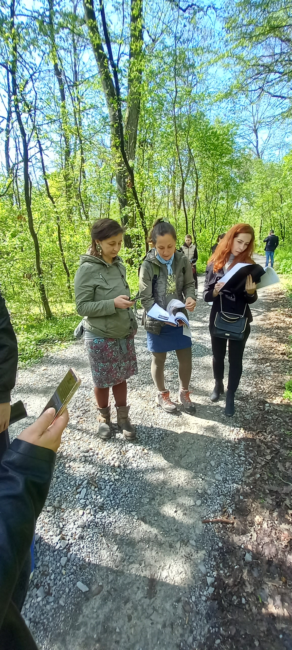 traseu educativ baile felix (15)