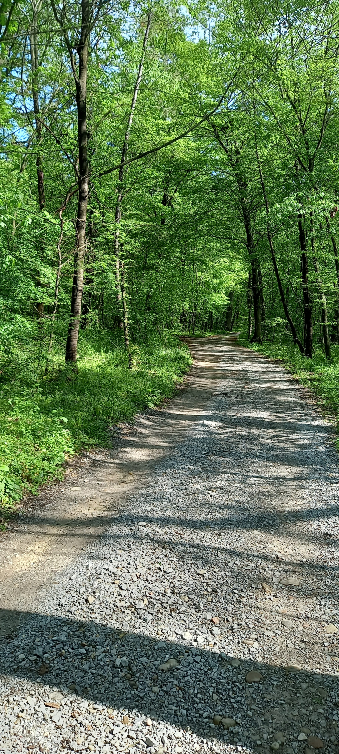 traseu educativ baile felix (17)