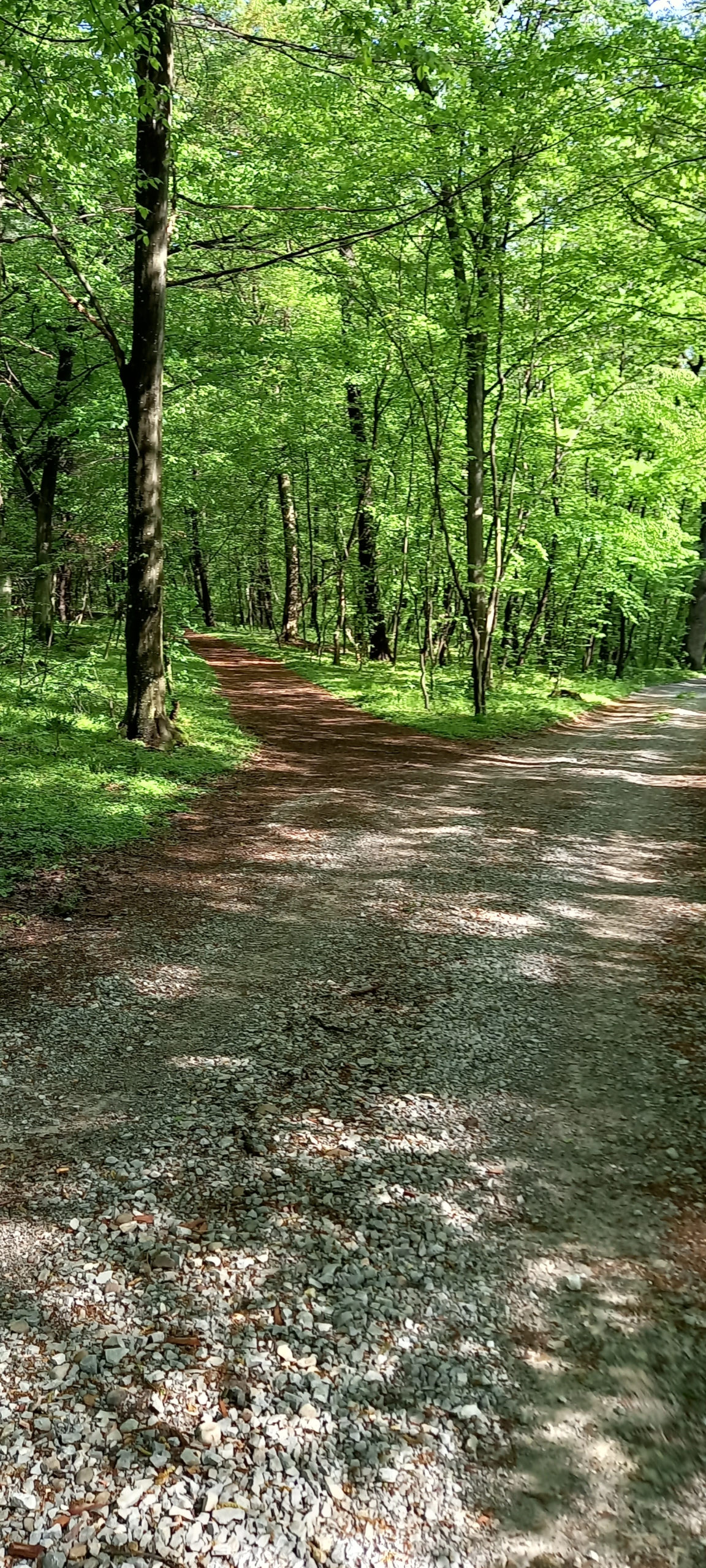 traseu educativ baile felix (18)