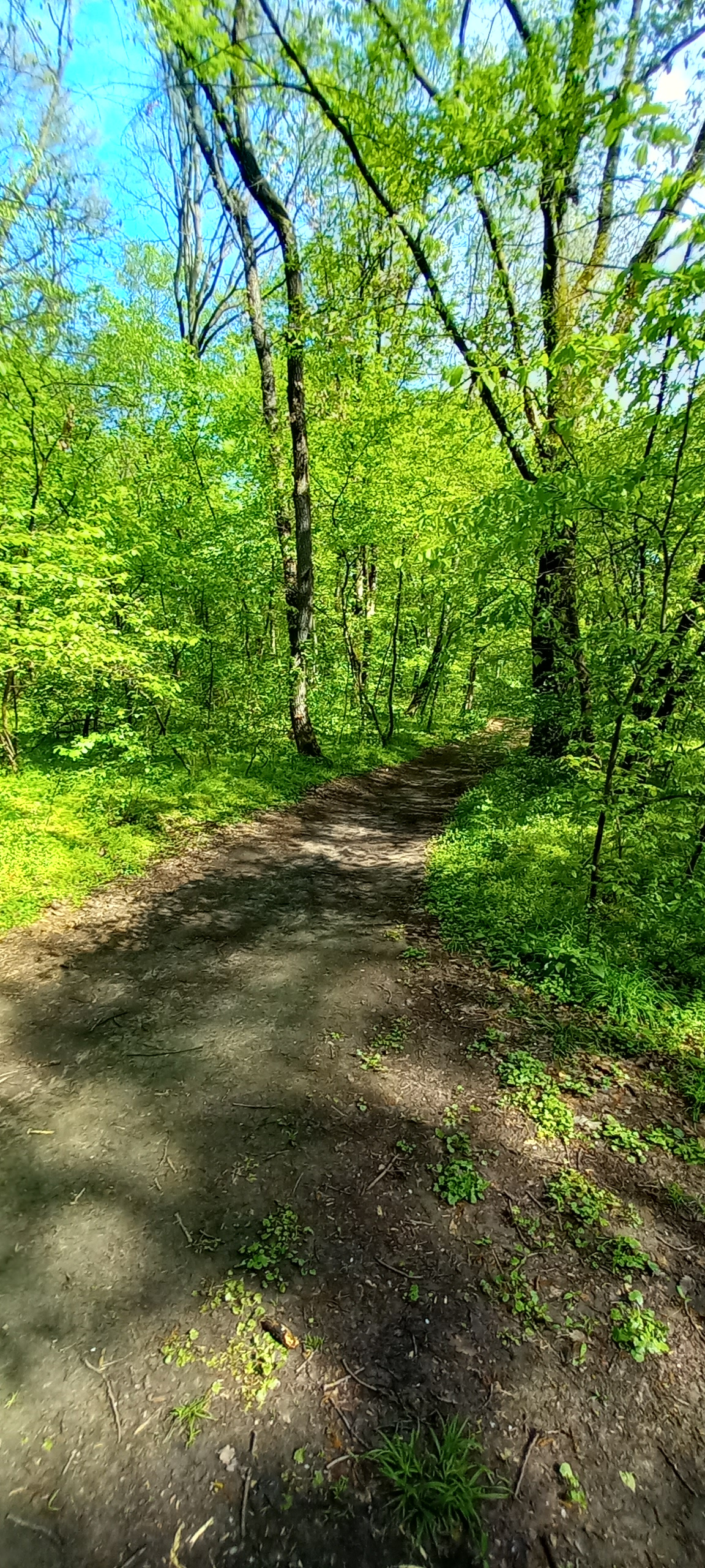 traseu educativ baile felix (22)