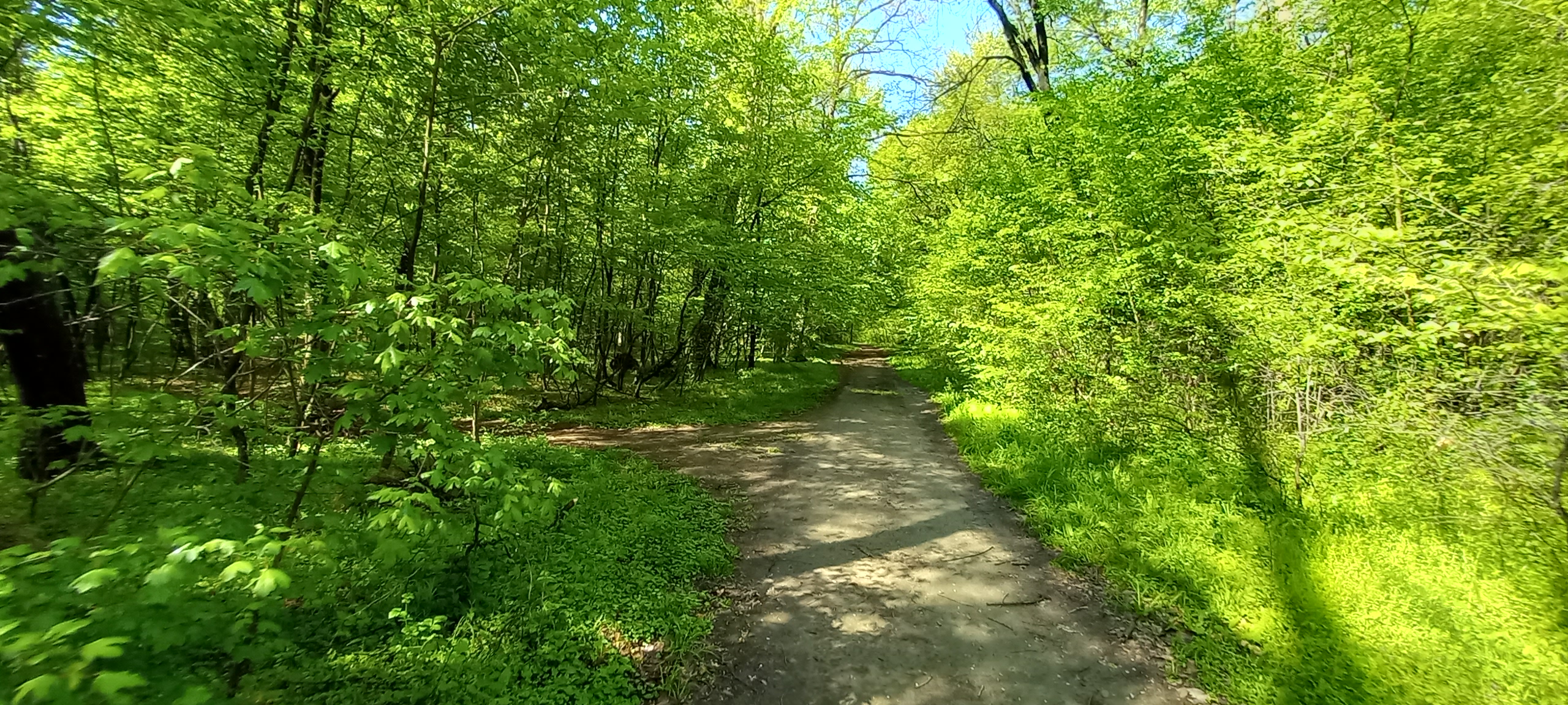 traseu educativ baile felix (23)